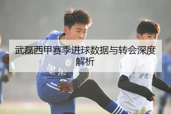 武磊西甲赛季进球数据与转会深度解析